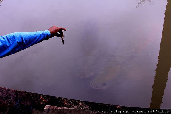 591-IMG_7507.JPG 591-IMG_7507.JPG