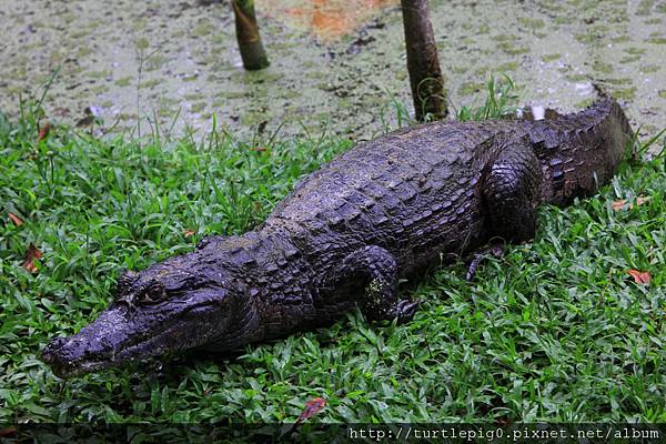 592-IMG_7525.JPG 592-IMG_7525.JPG