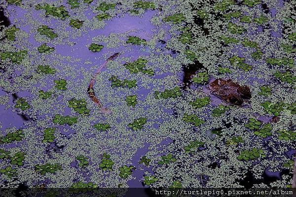 593-IMG_7526.JPG 593-IMG_7526.JPG