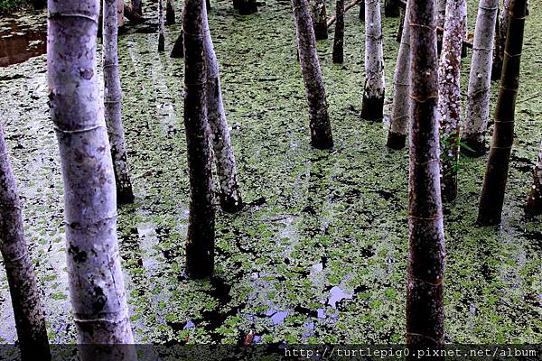 594-IMG_7529.JPG 594-IMG_7529.JPG