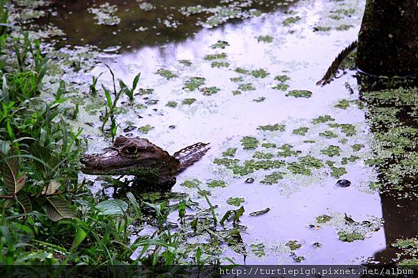 595-IMG_7533.JPG 595-IMG_7533.JPG