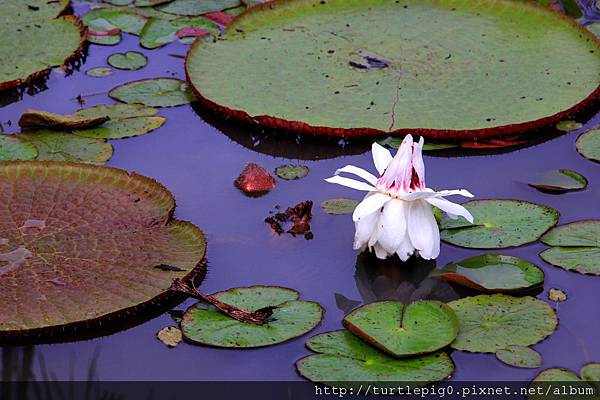 596-IMG_7538.JPG 596-IMG_7538.JPG