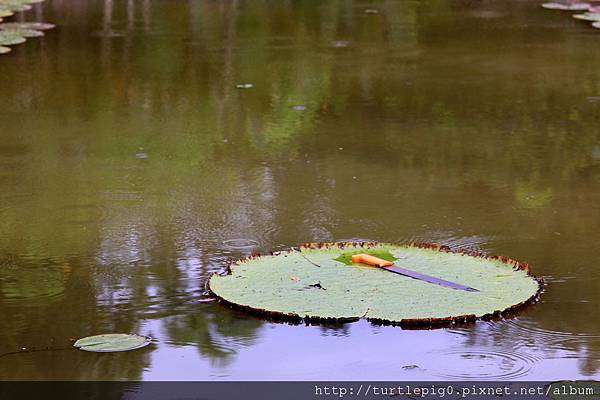 597-IMG_7540.JPG 597-IMG_7540.JPG