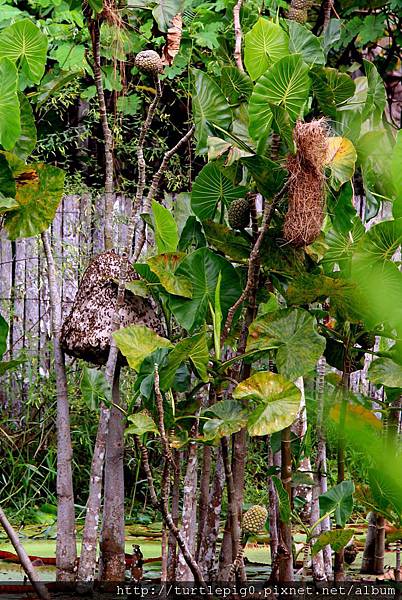 598-IMG_7541.JPG 598-IMG_7541.JPG