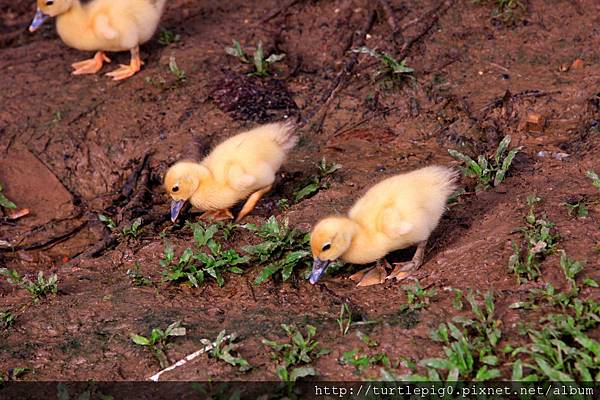 600-IMG_7548.JPG 600-IMG_7548.JPG