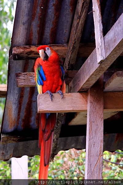 601-IMG_7553.JPG 601-IMG_7553.JPG