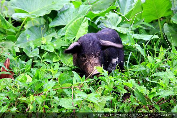 602-IMG_7554.JPG 602-IMG_7554.JPG