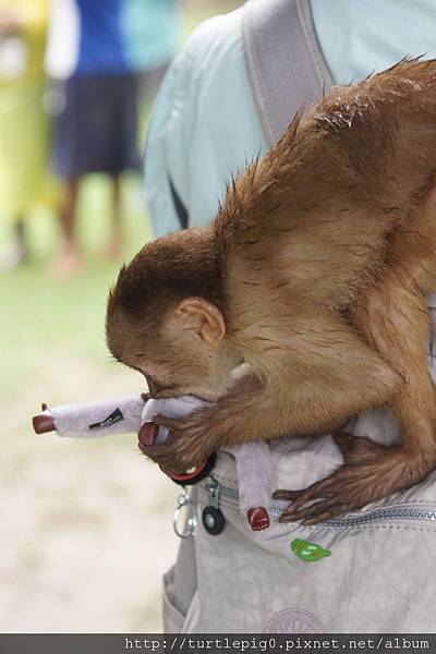 607-DSC00013.JPG 607-DSC00013.JPG