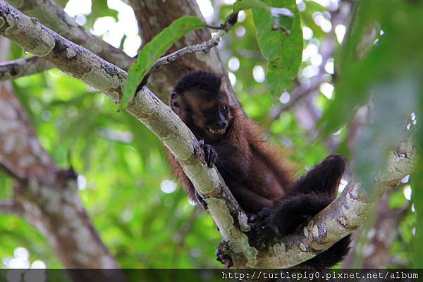 608-IMG_7575.JPG 608-IMG_7575.JPG