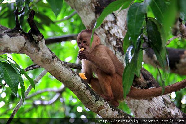 609-IMG_7577.JPG 609-IMG_7577.JPG