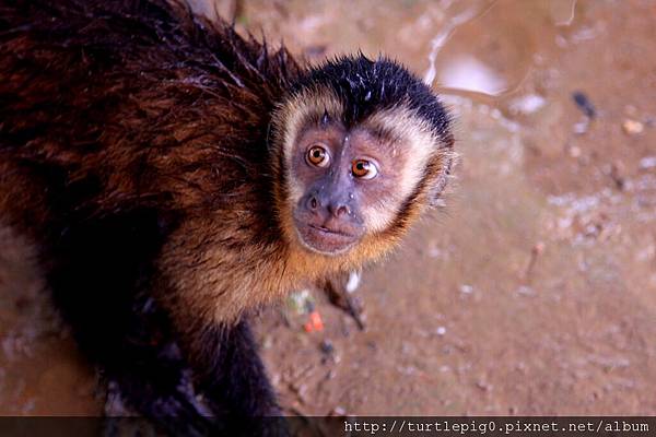 610-IMG_7579.JPG 610-IMG_7579.JPG