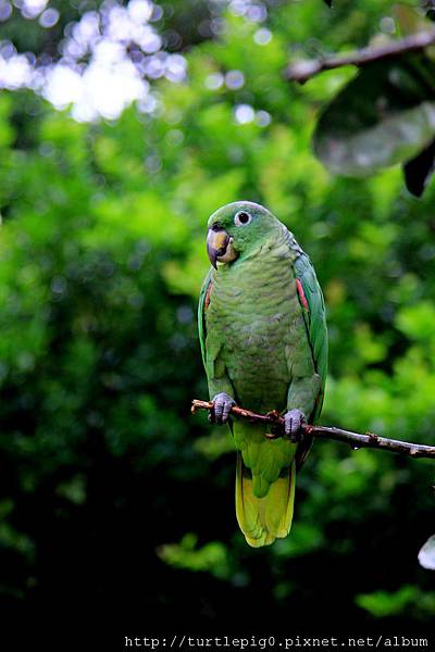 611-IMG_7584.JPG 611-IMG_7584.JPG