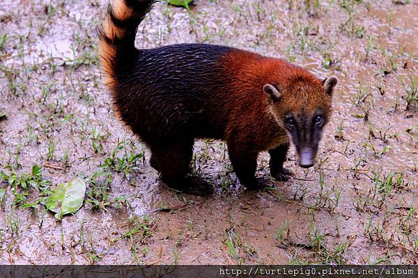 612-IMG_7597.JPG 612-IMG_7597.JPG