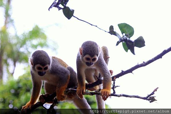 613-IMG_7603.JPG 613-IMG_7603.JPG