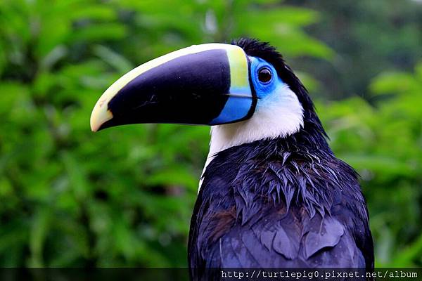 614-IMG_7607.JPG 614-IMG_7607.JPG