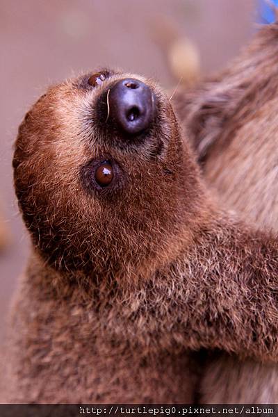 617-IMG_7641.JPG 617-IMG_7641.JPG