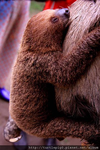 618-IMG_7642.JPG 618-IMG_7642.JPG