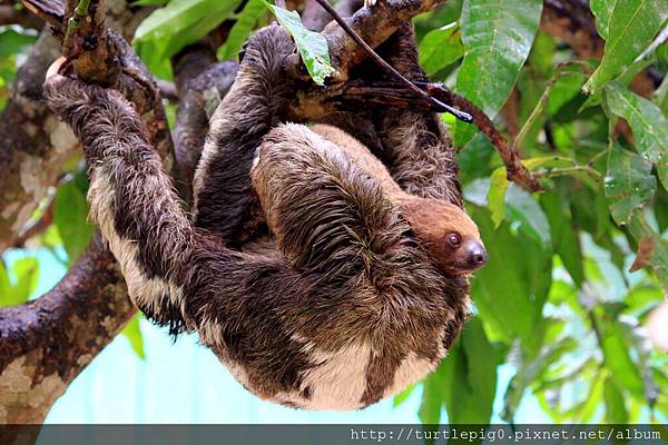 619-IMG_7644.JPG 619-IMG_7644.JPG