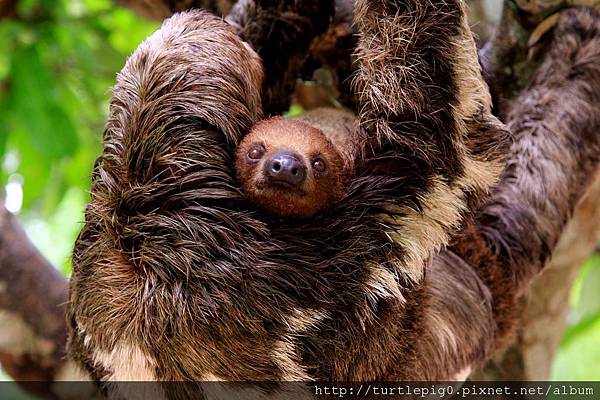 620-IMG_7646.JPG 620-IMG_7646.JPG