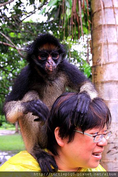 621-IMG_7650.JPG 621-IMG_7650.JPG