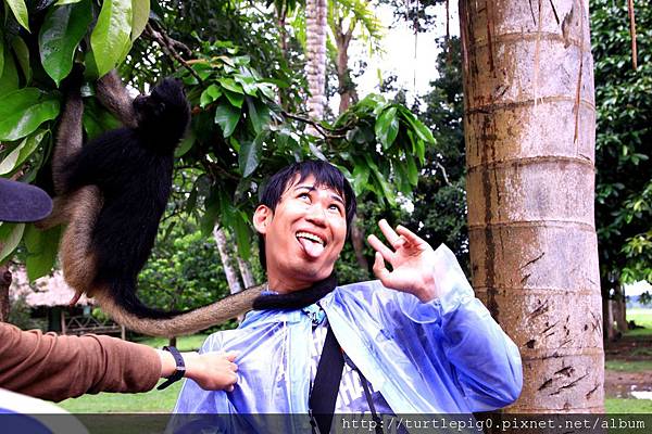 622-IMG_7661.JPG 622-IMG_7661.JPG