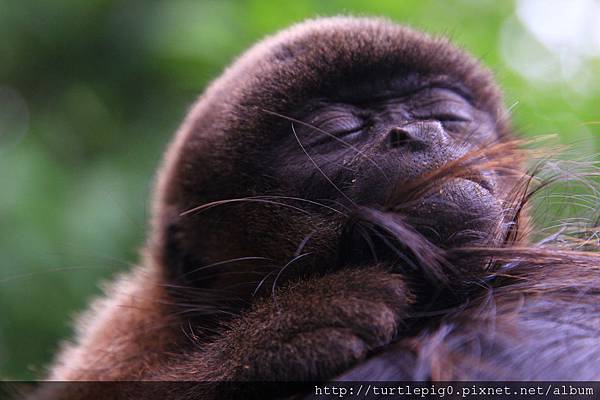 625-IMG_7666.JPG 625-IMG_7666.JPG