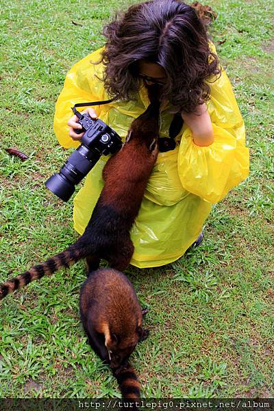 626-IMG_7676.JPG 626-IMG_7676.JPG