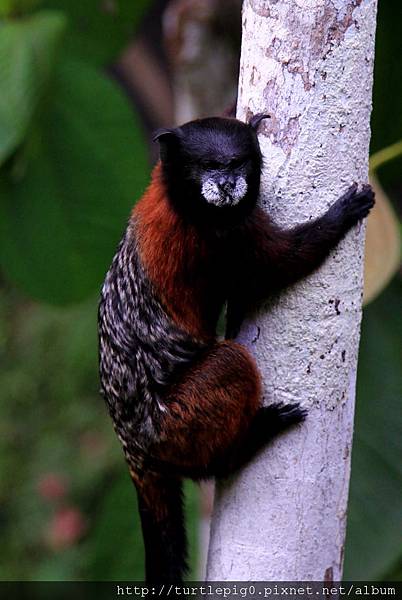 632-IMG_7717.JPG 632-IMG_7717.JPG