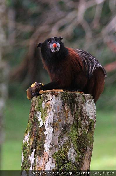 633-IMG_7719.JPG 633-IMG_7719.JPG