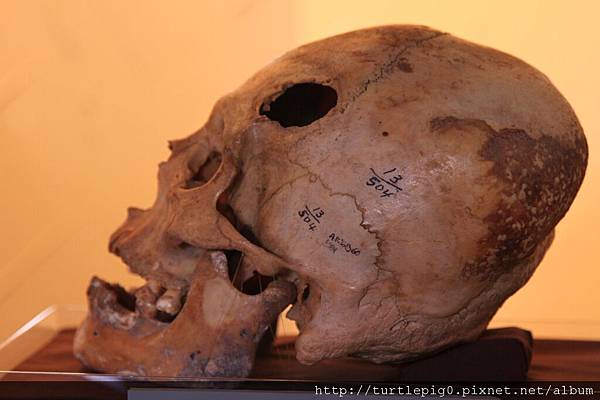 674-IMG_7856.JPG 674-IMG_7856.JPG