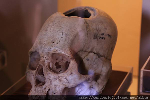 675-IMG_7857.JPG 675-IMG_7857.JPG