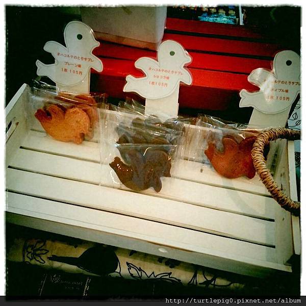 IMG_0063.JPG IMG_0063.JPG