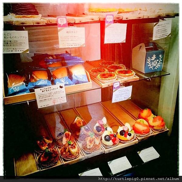 IMG_0064-1.JPG IMG_0064-1.JPG