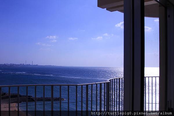 IMG_3803.JPG IMG_3803.JPG