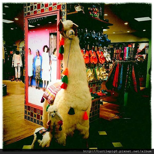 IMG_0083.JPG IMG_0083.JPG