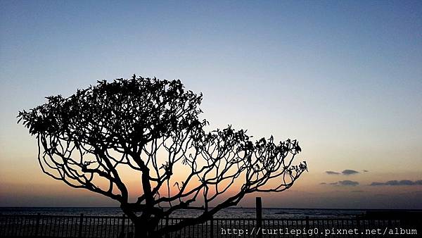 C360_2013-09-16-18-35-57-050.jpg C360_2013-09-16-18-35-57-050.jpg