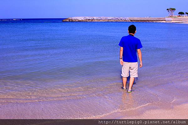 IMG_3810.JPG IMG_3810.JPG