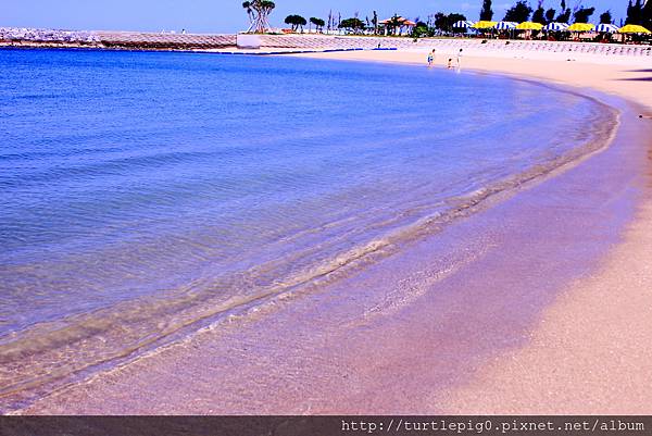 IMG_3818.JPG IMG_3818.JPG