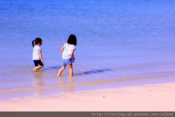 IMG_3820.JPG IMG_3820.JPG