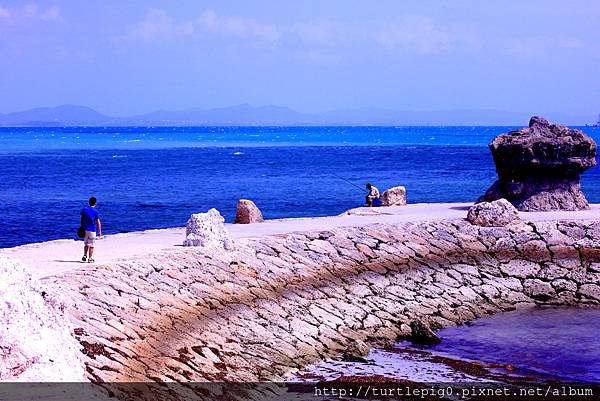 IMG_3872.JPG IMG_3872.JPG