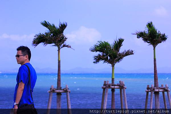 IMG_3897.JPG IMG_3897.JPG