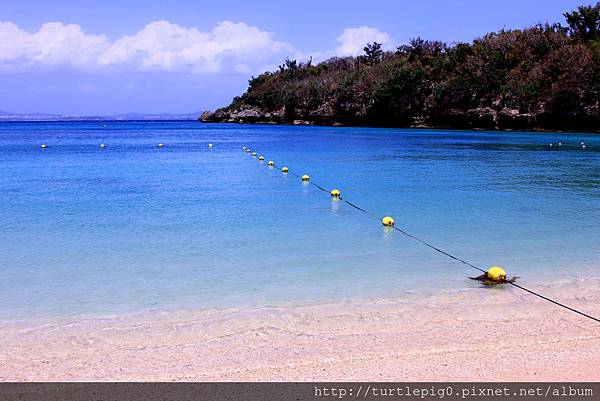 IMG_3913.JPG IMG_3913.JPG