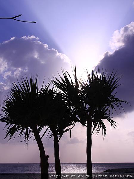 IMG_3946.JPG IMG_3946.JPG