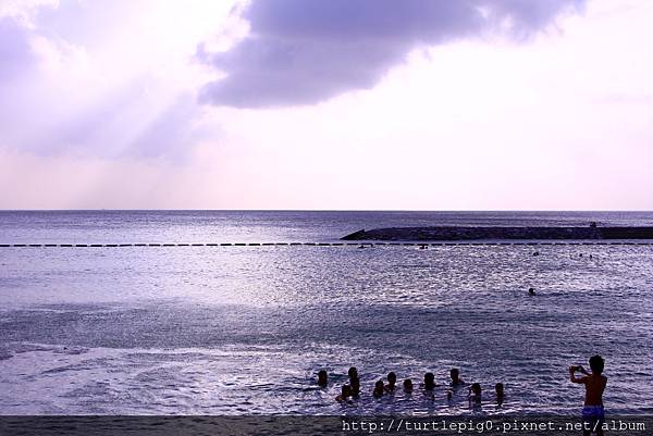 IMG_3950.JPG IMG_3950.JPG