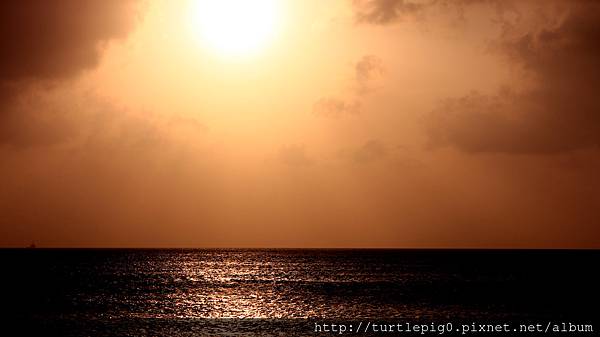 IMG_4021.JPG IMG_4021.JPG