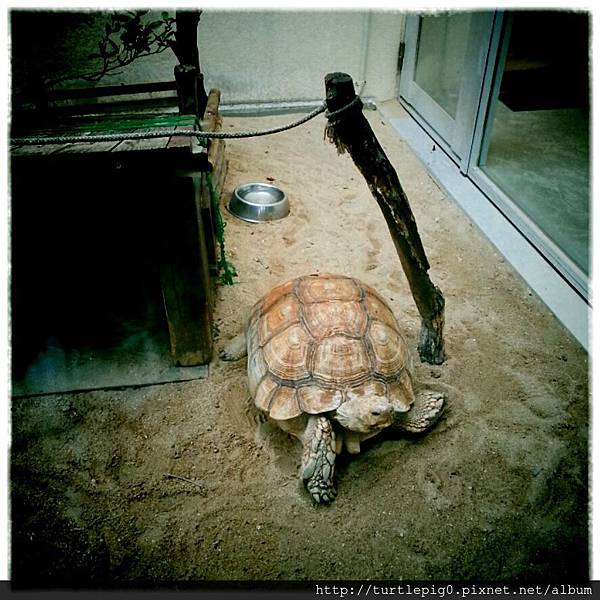 IMG_0067.JPG IMG_0067.JPG