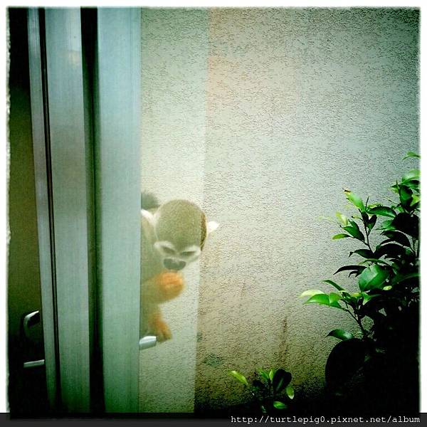 IMG_0069-1.JPG IMG_0069-1.JPG