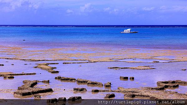 IMG_4030.JPG IMG_4030.JPG