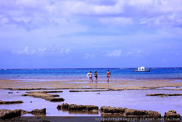 IMG_4044.JPG IMG_4044.JPG