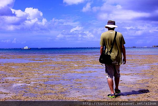 IMG_4052.JPG IMG_4052.JPG